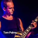 Tom_palms[1]